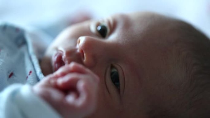 微小的新生婴儿好奇地观察世界，婴儿在生命的第一周寻找相机