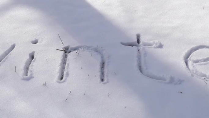 雪上的冬天。冬天拍摄。