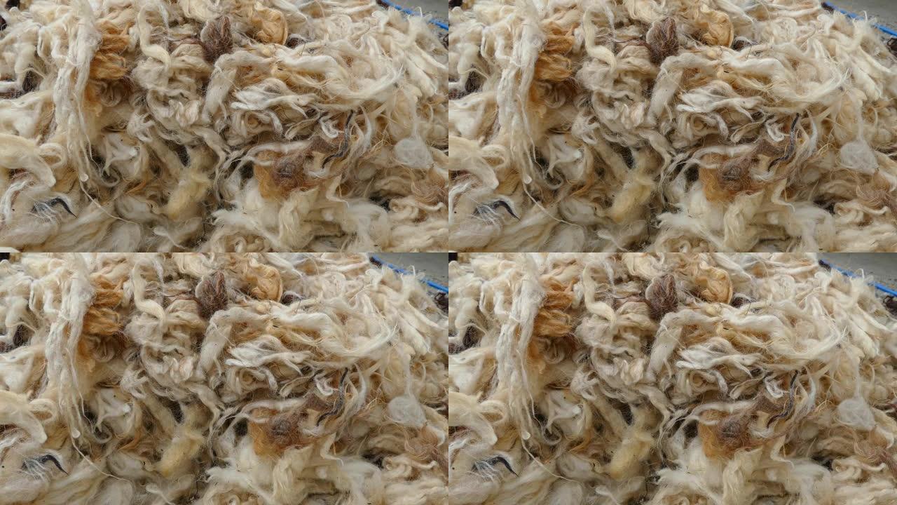 羊毛，洗干净的羊毛，制作羊毛的垫子和被子，