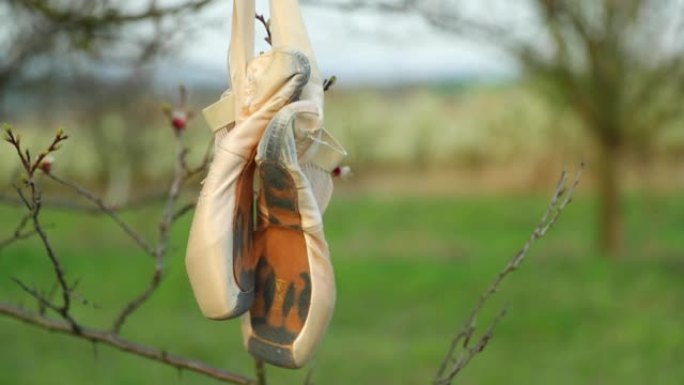 在春天的日子里，芭蕾舞女演员的鞋子挂在树上，风吹拂着微风。120 FPS中捕获的详细视图