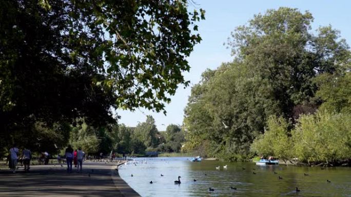 伦敦摄政公园的划船湖