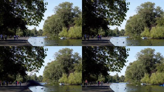 伦敦摄政公园的划船湖