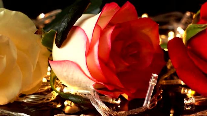 玫瑰在明亮的花环的背景下。