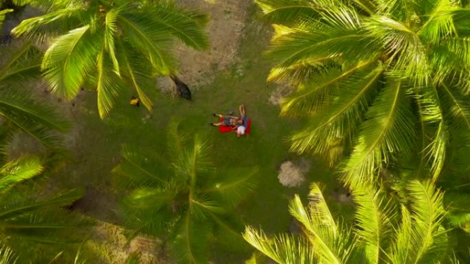 恋爱中的快乐年轻浪漫情侣在棕榈树下的加勒比海海滩放松