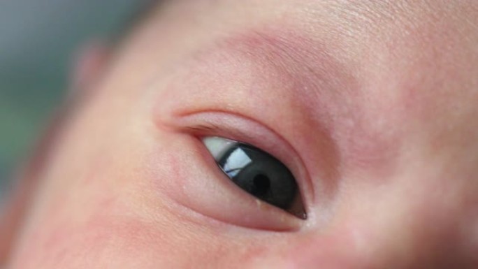 宏观中的新生婴儿眼睛
