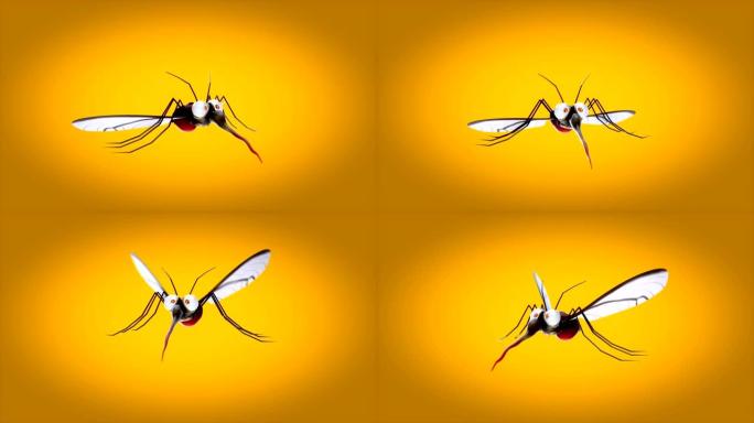 有趣的蚊子-3D动画