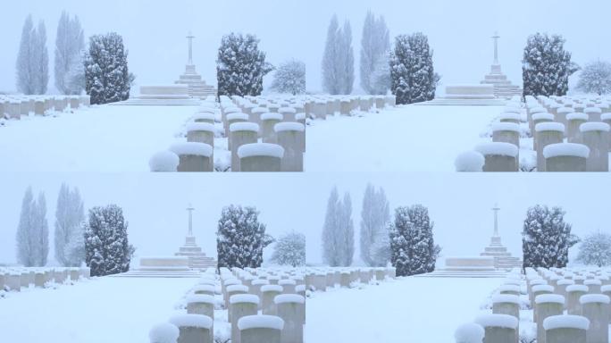 第一次世界大战在比利时:雪在泰恩科特墓地