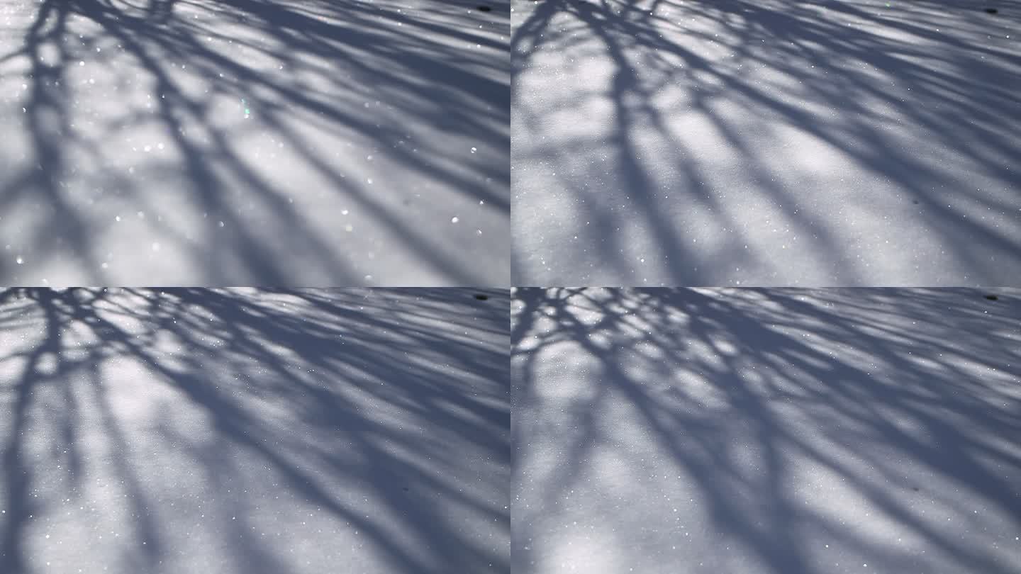 【V币】四川高原的雪地光影