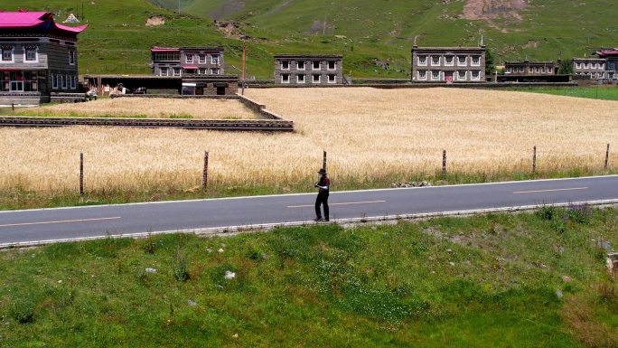 川西高原旅者行走在马路上