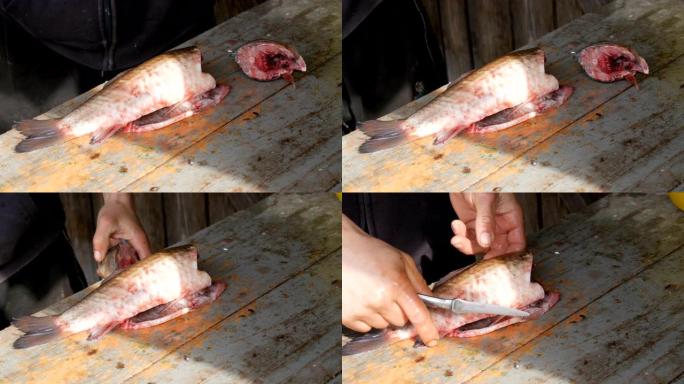 一个男人一个渔夫把一条活泼的大鱼切成碎片