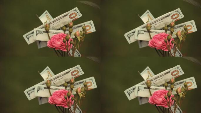 粉红玫瑰花钱美元高清镜头没人