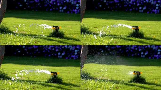 绿色草地花园上的自动草坪洒水器