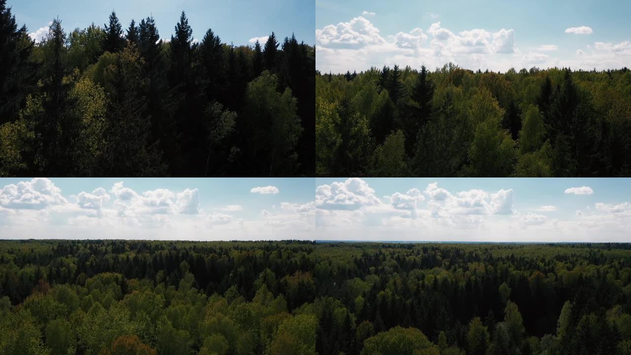 无人机飞过树梢，飞过森林。
