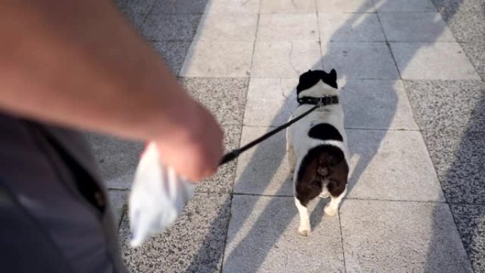 主人带着他的狗带着便便包散步