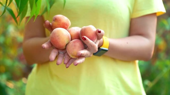 女人手里拿着很多桃子，它们从她身上掉了出来。收获概念。维生素，健康饮食。