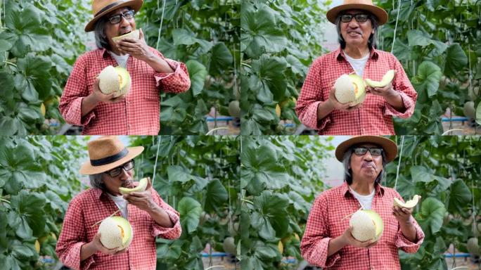 在瓜农场吃瓜的人。