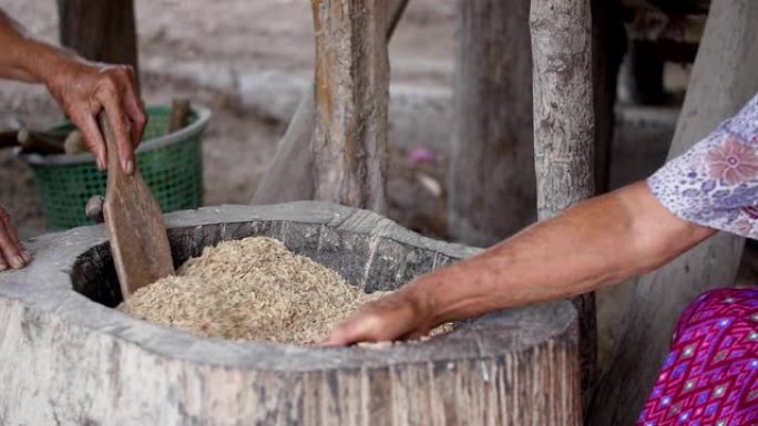 风选大米，自然泰国农民的生活方式。