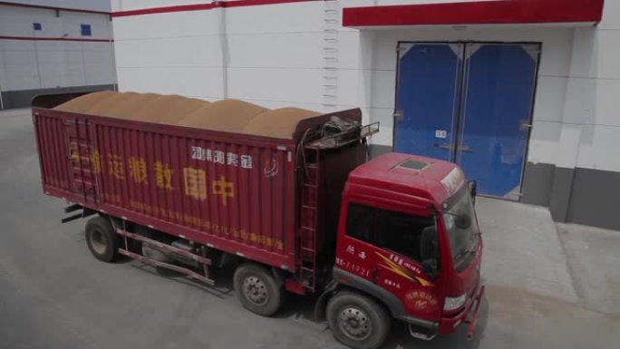 渭南-7月6日: 中国陕西省渭南市2013年7月06日粮食储备库卡车运输小麦