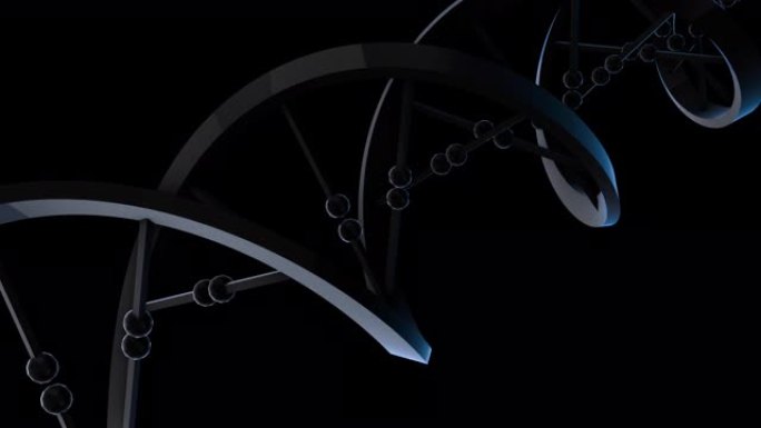 DNA-前瞻性黑色和蓝色