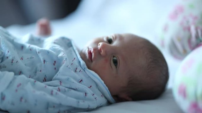 微小的新生婴儿好奇地观察世界婴儿在生命的第一周寻找相机