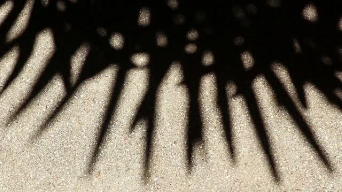 砾石地板或墙壁上的竹棕榈树叶子的奇异阴影