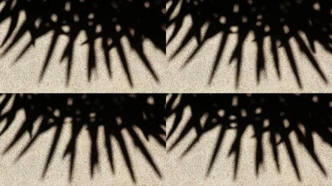 砾石地板或墙壁上的竹棕榈树叶子的奇异阴影