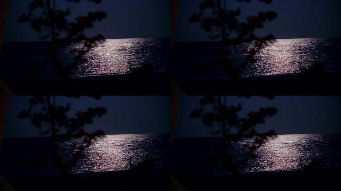 夜海照亮月亮
