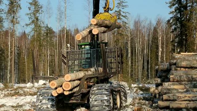 冬季作业集结机伐木