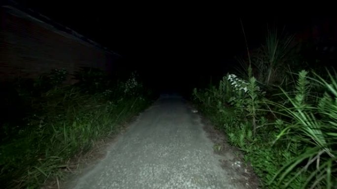 晚上，POV沿着漆黑的可怕小路走。