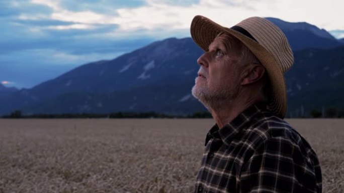 一位戴着帽子的老人站在麦田里仰望天空的特写镜头。