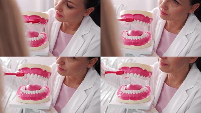 牙医在牙医诊所展示正确的刷牙方式