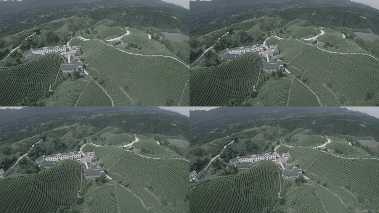 无人机拍摄了中国茶田丘陵工人的住所。