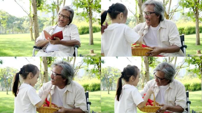 亚洲孙女把水果篮带到granfather坐在公园的轮椅上。慢动作