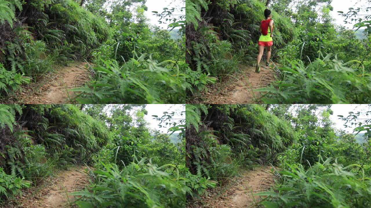 女子超级马拉松赛跑者在热带雨林4k