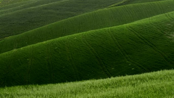 青山塑造抽象的自然背景