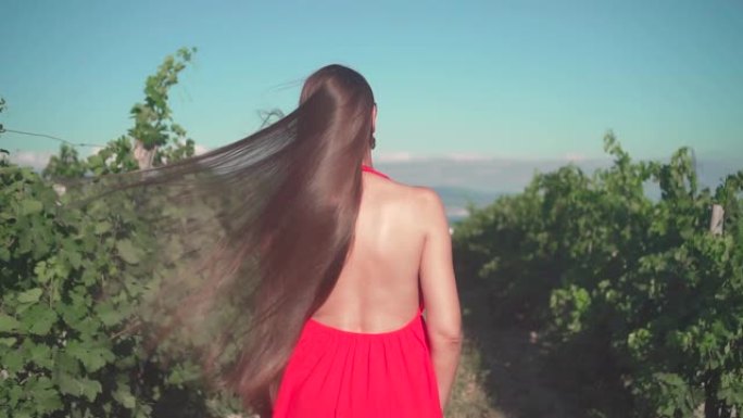 一个穿着红色连衣裙的年轻女孩正穿过葡萄园。一个长发的自由女孩走过葡萄园。