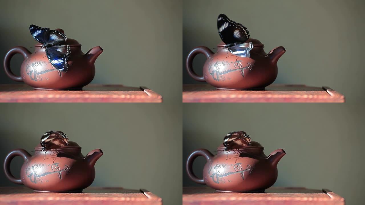 中国茶壶蝴蝶木制书桌绿色墙壁高清镜头