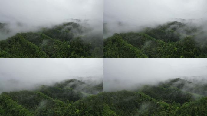 深山云雾缭绕   雨中航拍俯瞰大地山脉