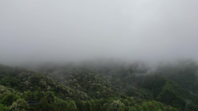 深山云雾缭绕   雨中航拍俯瞰大地山脉
