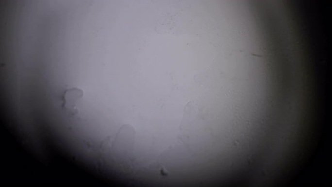 雪花在显微镜下融化。
