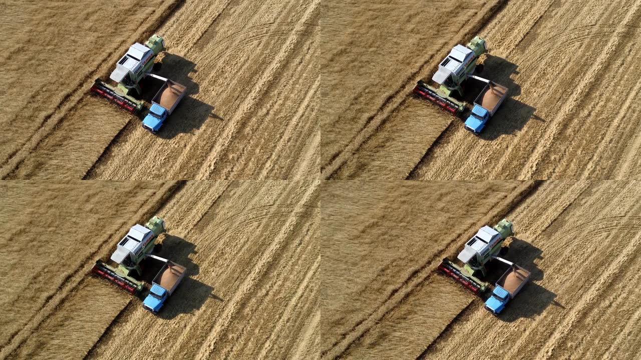 麦田联合收割机和拖拉机农机收割。