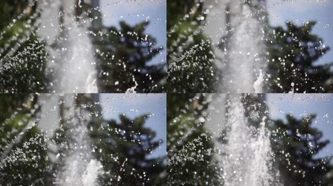 基希讷乌中央公园的喷泉喷射