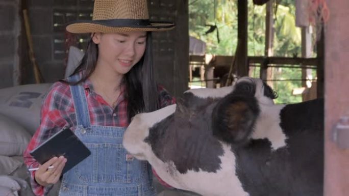 亚洲女农民在牛中使用数字平板电脑。小型企业主在奶制品方面取得了成功