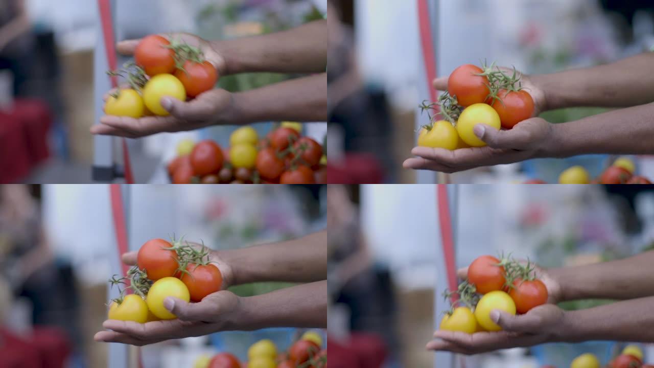 公开市场-待售西红柿