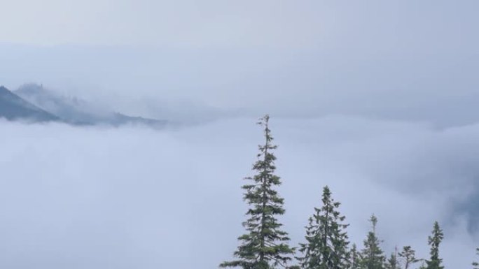 米斯蒂喀尔巴阡山脉