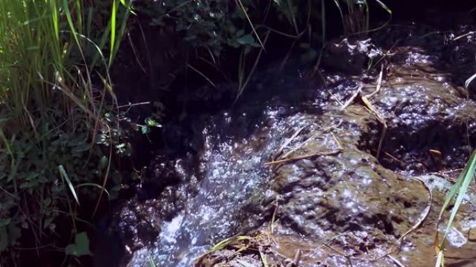稻田环境的自然灌溉水流