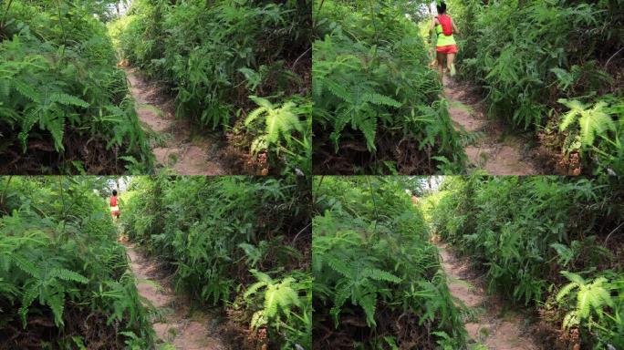在热带雨林中奔跑的女子超级马拉松运动员