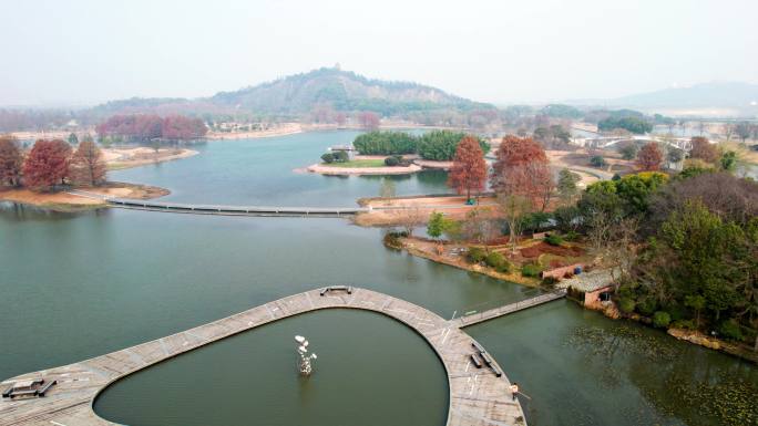 清晨的上海辰山植物园