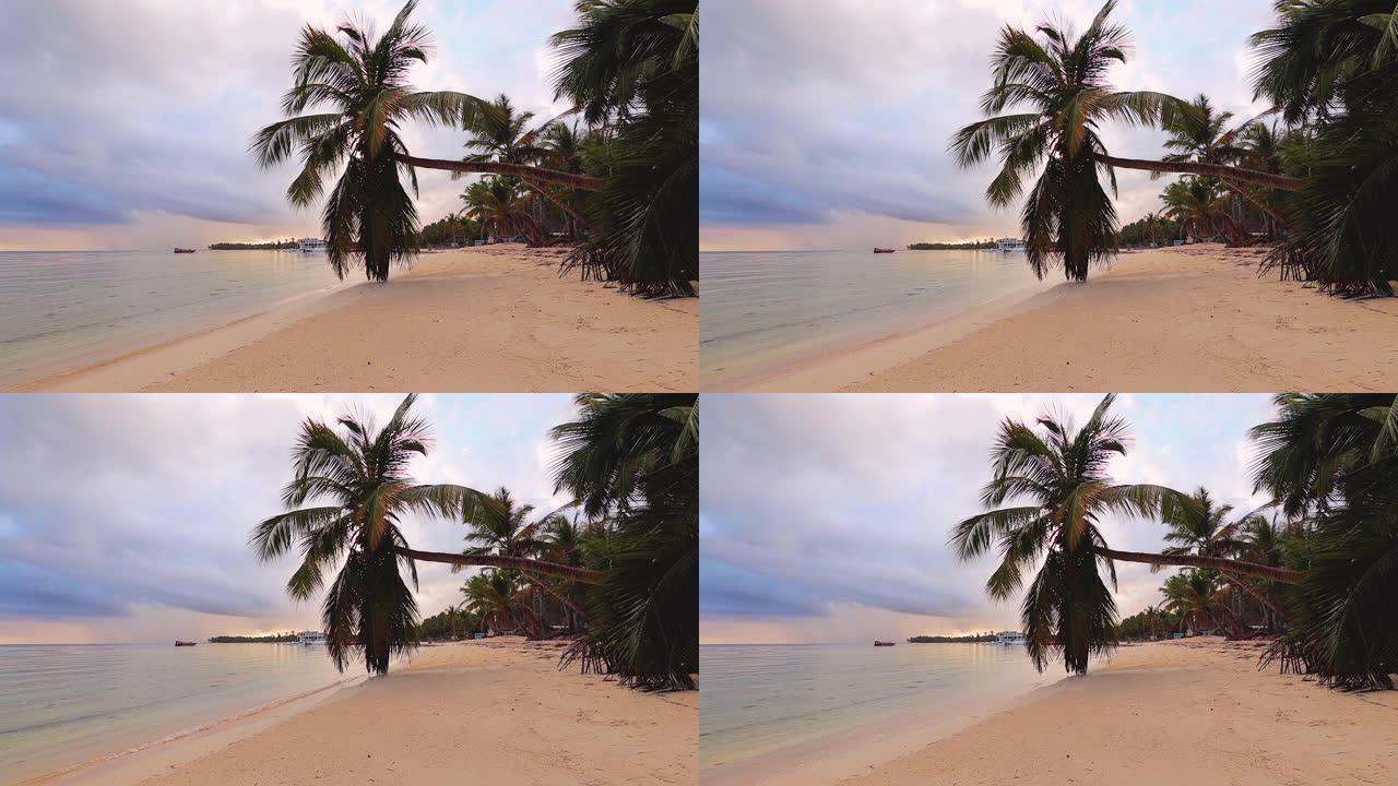 热带海滩和异国情调的棕榈树上美丽的日出