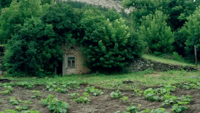 小废弃仙女屋小屋